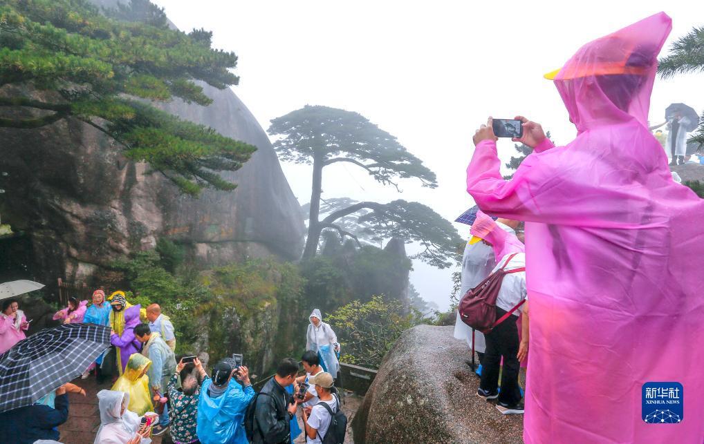 乐博手机登入